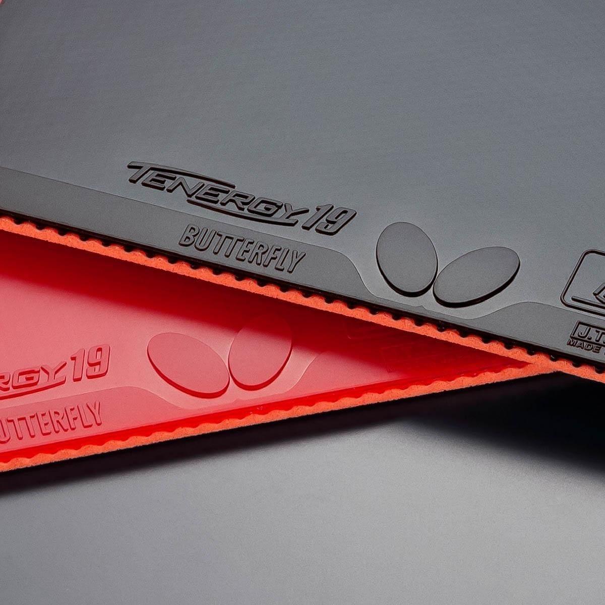 Butterfly Tenergy 19
