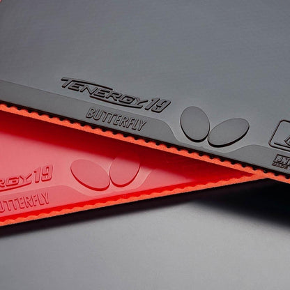 Butterfly Tenergy 19